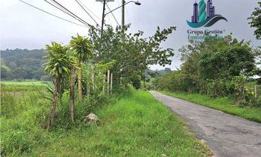 VENDO DOS HECTAREAS Y 1516M2 PLANOS