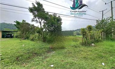 VENDO DOS HECTAREAS Y 1516M2 PLANOS