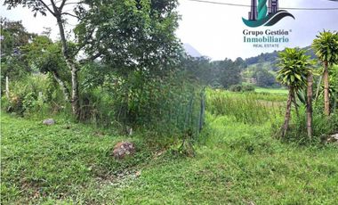 VENDO DOS HECTAREAS Y 1516M2 PLANOS