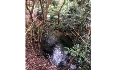 Casa en parque del Lago