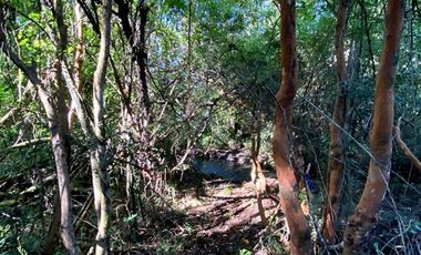 Parcela en Venta en COD37354 la sureña de molco