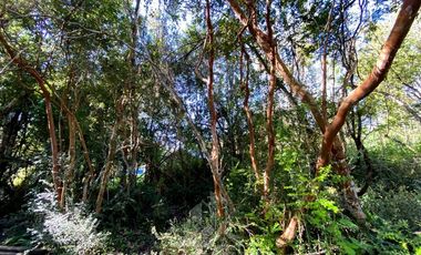 Parcela en Venta en COD37354 la sureña de molco