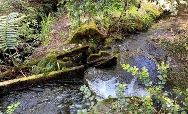 Parcela en Venta en COD37354 la sureña de molco