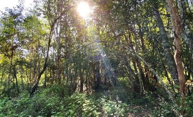 Parcela en Venta en COD37354 la sureña de molco