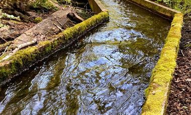 Parcela en Venta en COD37354 la sureña de molco