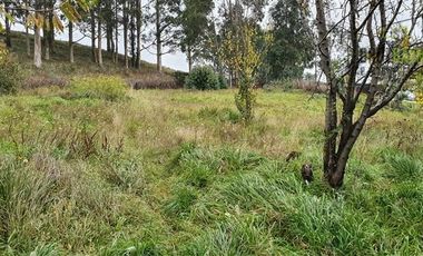 Sitio en Venta en Eduardo Frei, Llanquihue, cercano a escuela “Los Volcanes”