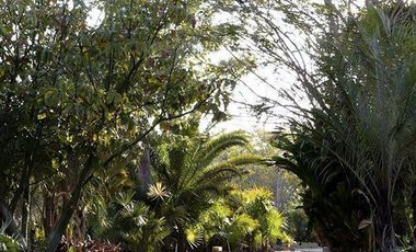 Terreno en venta  Mérida Yucatán, Frondeza Cabo Norte