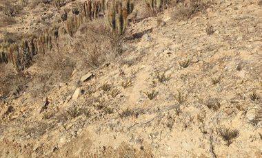 Espectacular terreno en inmejorable ubicación