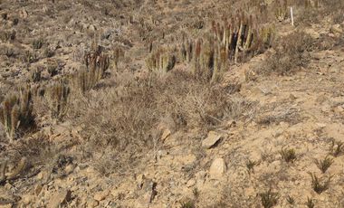 Espectacular terreno en inmejorable ubicación