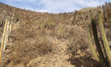 Espectacular terreno en inmejorable ubicación