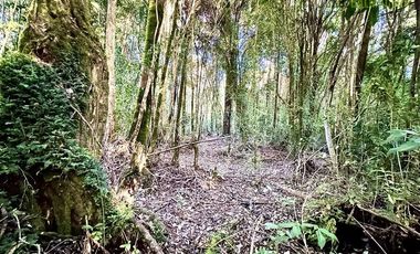 Parcela en Venta en Fundo Las Cumbres, Cumbre de Los Volcanes, km 8 hacia Ensenada