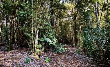 Parcela en Venta en Fundo Las Cumbres, Cumbre de Los Volcanes, km 8 hacia Ensenada