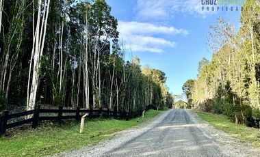 Parcela en Venta en Fundo Las Cumbres, Cumbre de Los Volcanes, km 8 hacia Ensenada