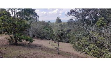 Vendo Finca en Marinilla