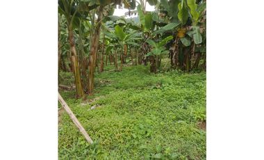 Finca de 1.580m2 en venta Guacarí Sonso Valle del Cauca Colombia