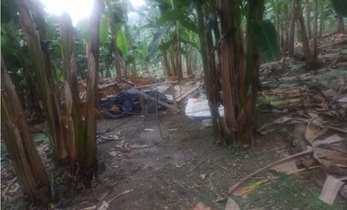 Finca de 1.580m2 en venta Guacarí Sonso Valle del Cauca Colombia