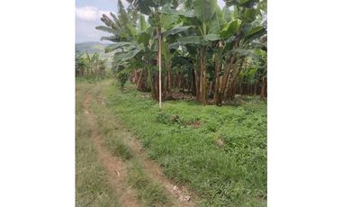 Finca de 1.580m2 en venta Guacarí Sonso Valle del Cauca Colombia