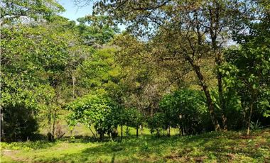 Venta de Terreno en Bocas del Toro