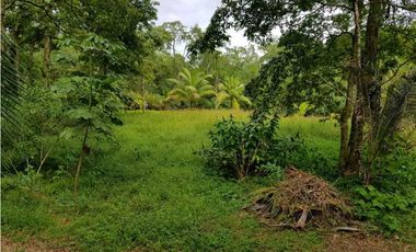 Venta de Terreno en Bocas del Toro