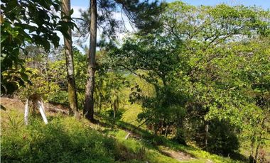 Venta de Terreno en Bocas del Toro