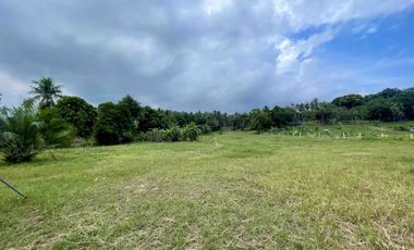 Land for sale in Maenam, Surat Thani