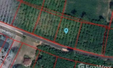 Land for sale in Dom, Surin