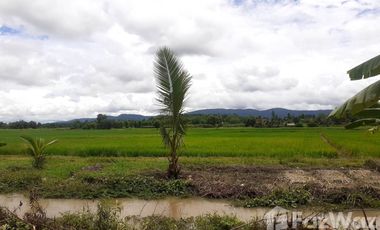 Land for sale in Bua Sali, Chiang Rai