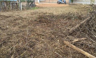 Land for sale in Bua Sali, Chiang Rai