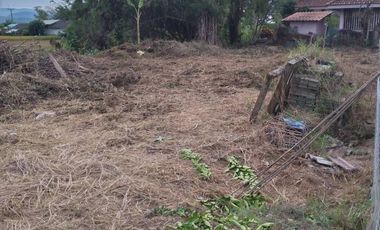 Land for sale in Bua Sali, Chiang Rai