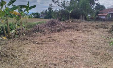 Land for sale in Bua Sali, Chiang Rai
