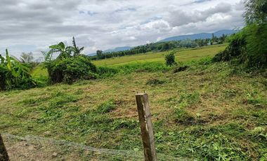 Land for sale in Bua Sali, Chiang Rai