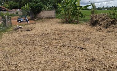Land for sale in Bua Sali, Chiang Rai