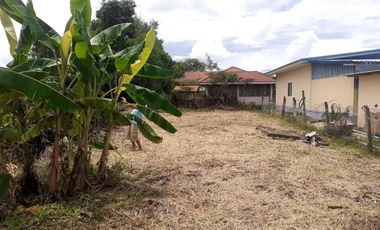 Land for sale in Bua Sali, Chiang Rai
