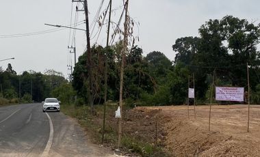 Land for sale in Non Hom, Prachin Buri