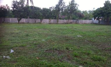 Land for sale in Rop Wiang, Chiang Rai