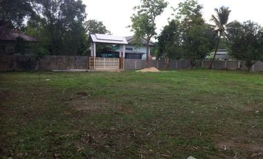 Land for sale in Rop Wiang, Chiang Rai