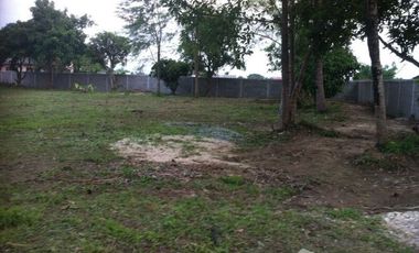 Land for sale in Rop Wiang, Chiang Rai