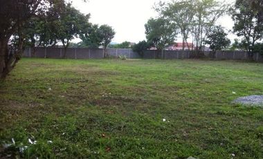 Land for sale in Rop Wiang, Chiang Rai