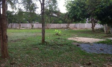 Land for sale in Rop Wiang, Chiang Rai