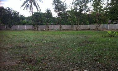 Land for sale in Rop Wiang, Chiang Rai