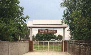 Land for sale in Rop Wiang, Chiang Rai