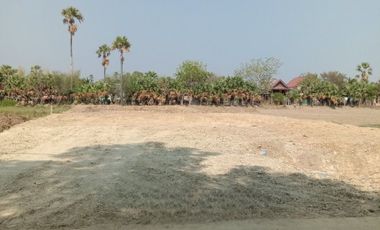 Land for sale in Nong Khanan, Phetchaburi