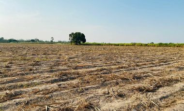 Land for sale in Huai Sai Nuea, Phetchaburi