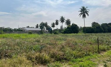 Land for sale in , Phetchaburi