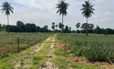 Land for sale in , Phetchaburi
