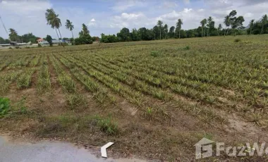 Land for sale in , Phetchaburi