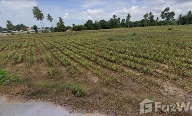 Land for sale in , Phetchaburi