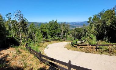 VIVE LA NATURALEZA DE VALDIVIA AL MEJOR PRECIO