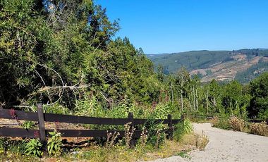 VIVE LA NATURALEZA DE VALDIVIA AL MEJOR PRECIO