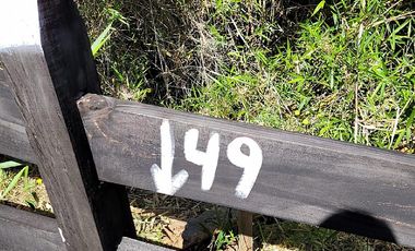 VIVE LA NATURALEZA DE VALDIVIA AL MEJOR PRECIO